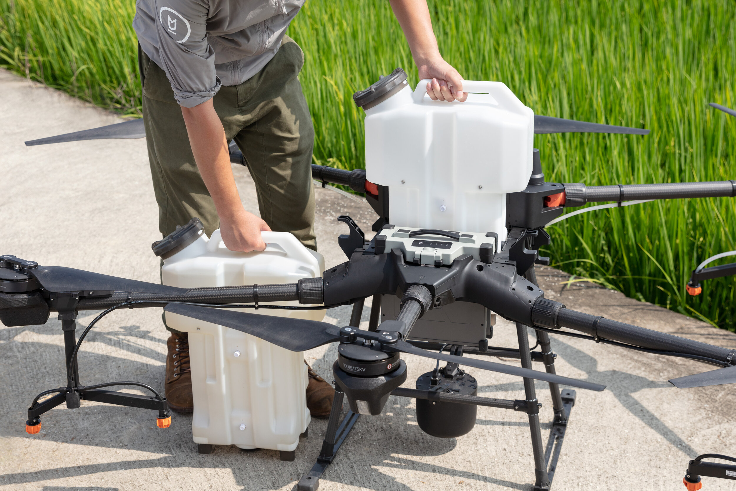 absorberende Sæson Banzai Weed Control for Wheat with DJI Agras T16 — Ferntech Commercial NZ