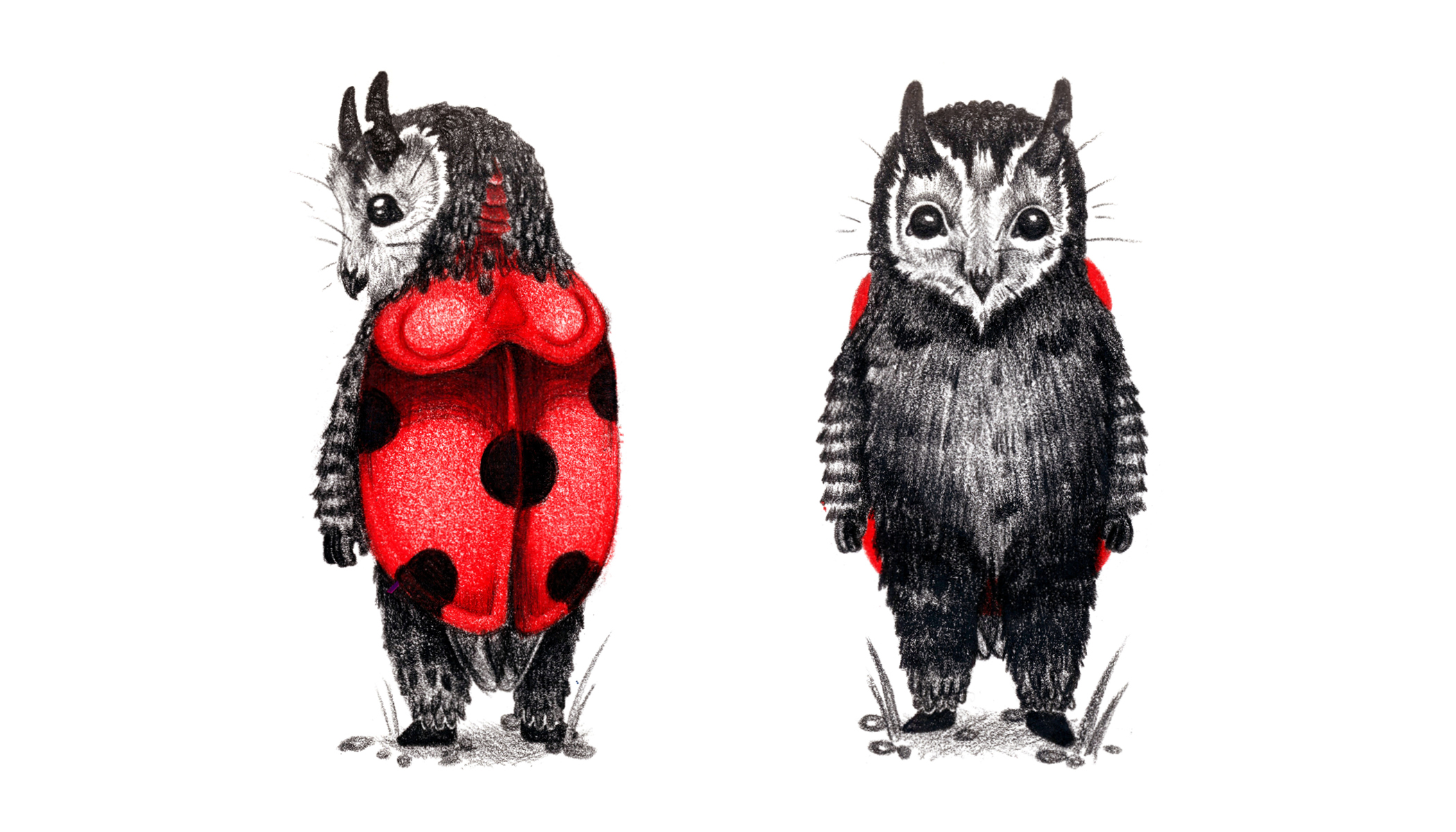 Owl Bug: Sketch