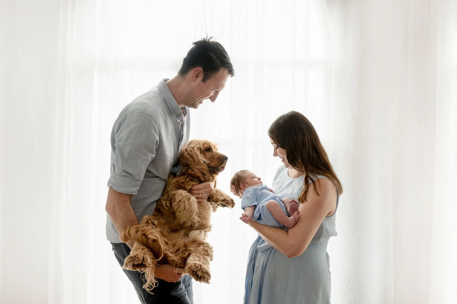 Dad holding the family dog up to meet their newborn baby in mum's arms during a newborn studio session in Sydney