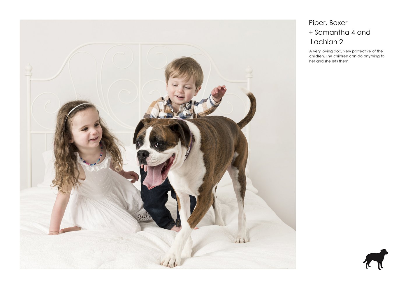 dog and kids photographer sydney