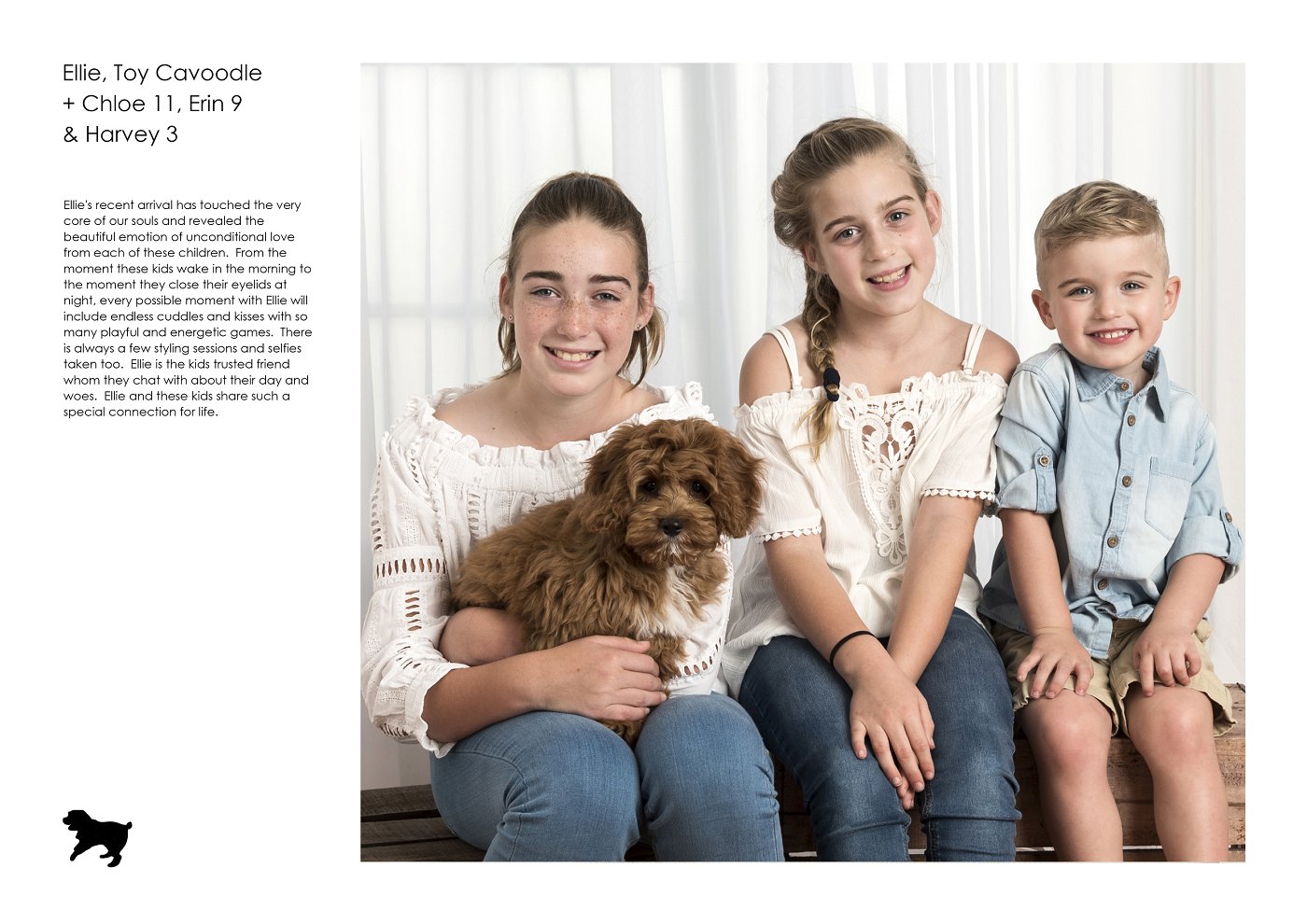 studio kids and dogs photographer sydney