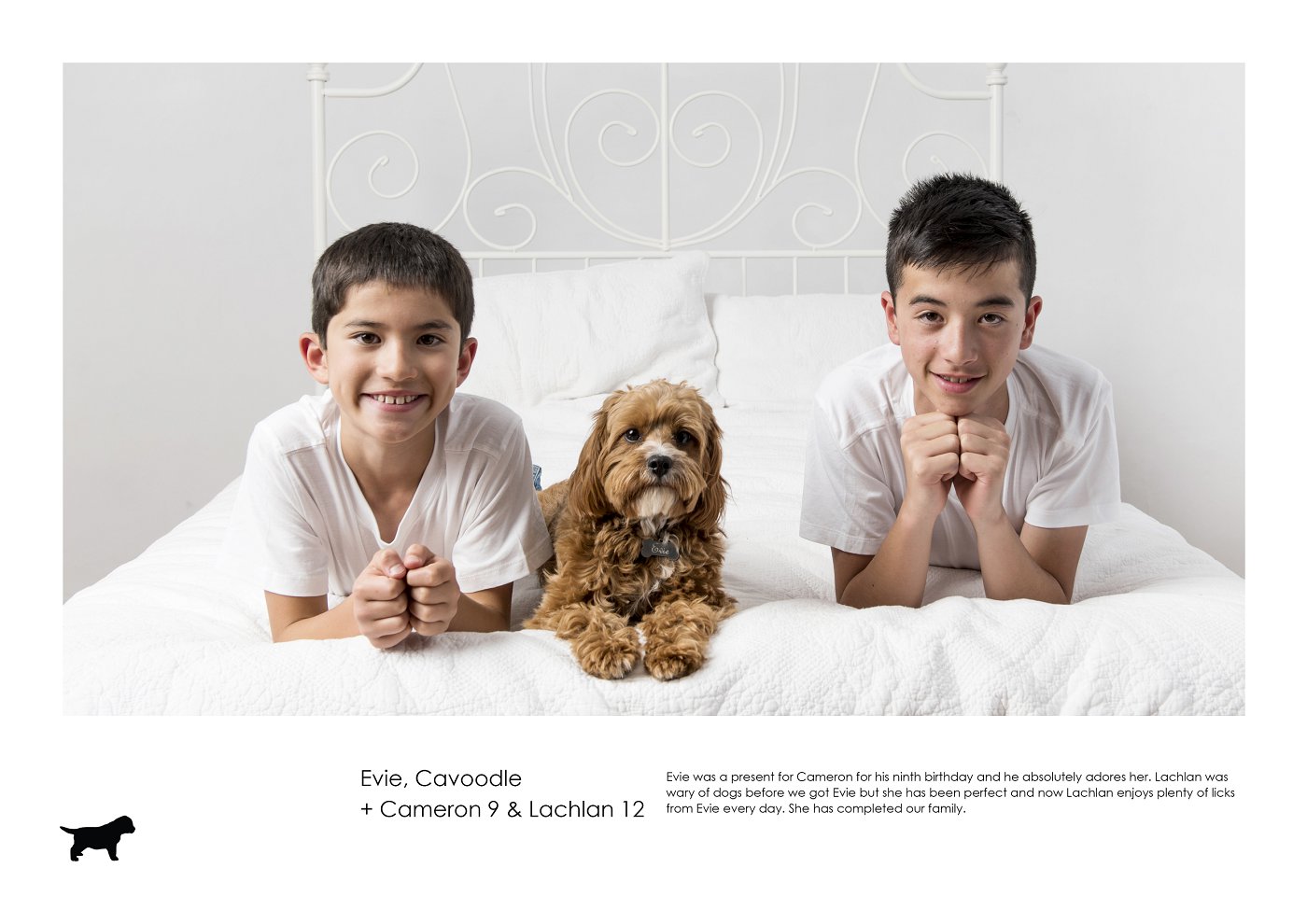kids portrait dog photography sydney