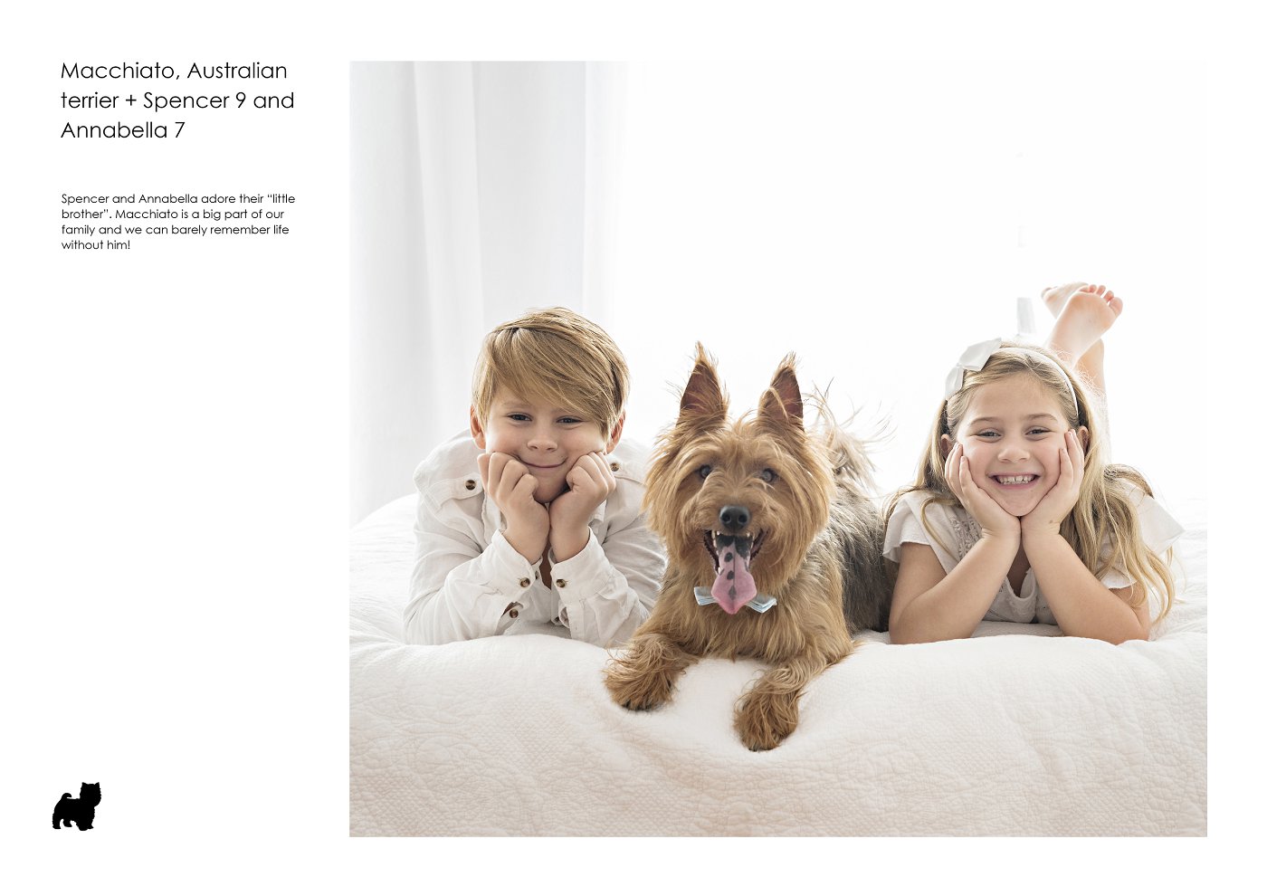 sydney studio photographer dogs and kids