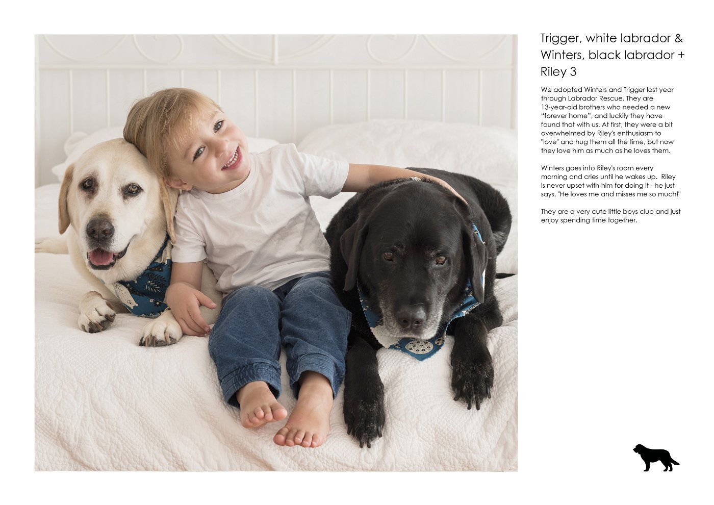 Studio photography for families and dogs