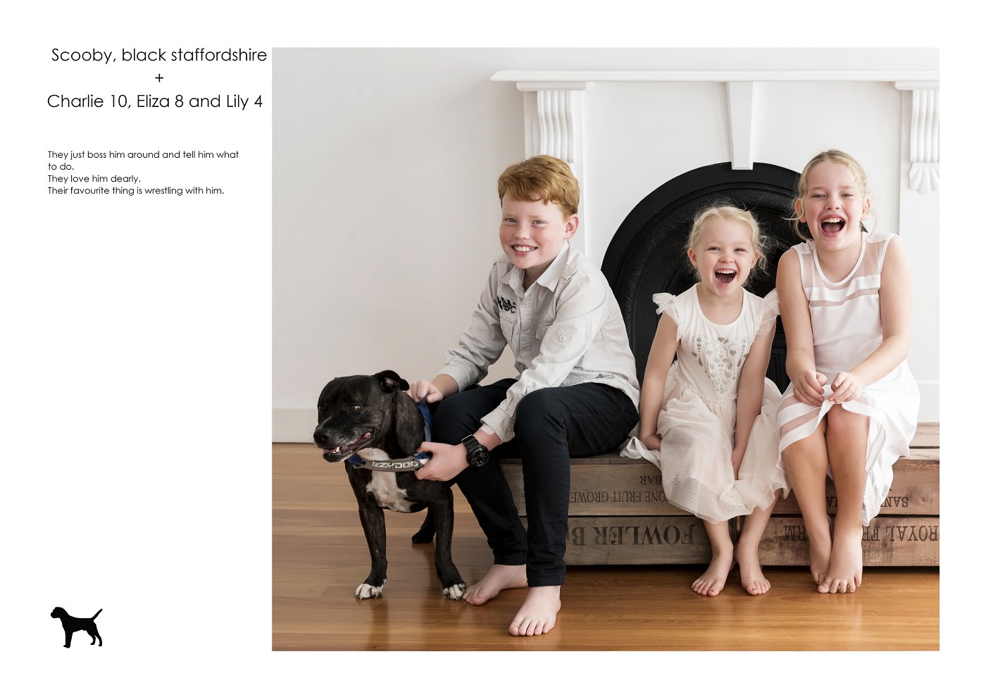 best dogs and kids photography sydney