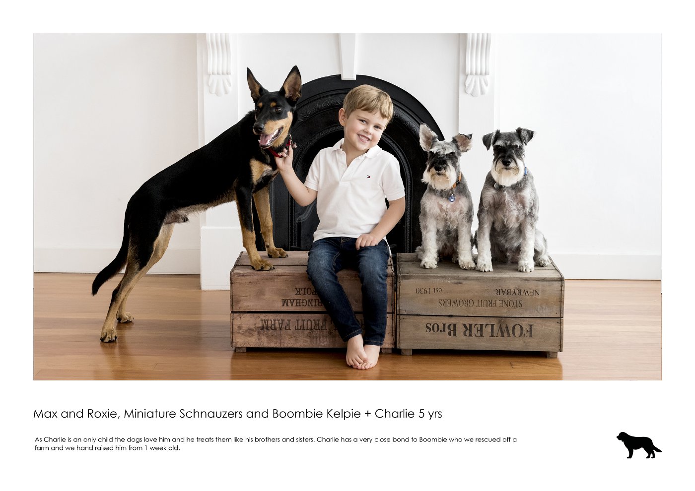 family dogs and kids sydney photographer