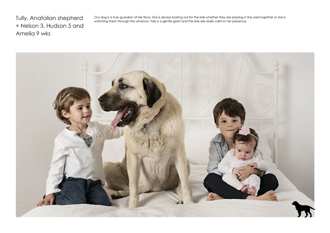 kids with dog sydney photography