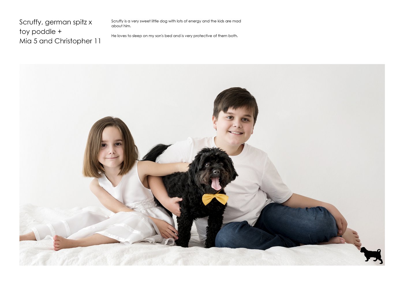 studio pets and kids photographer sydney