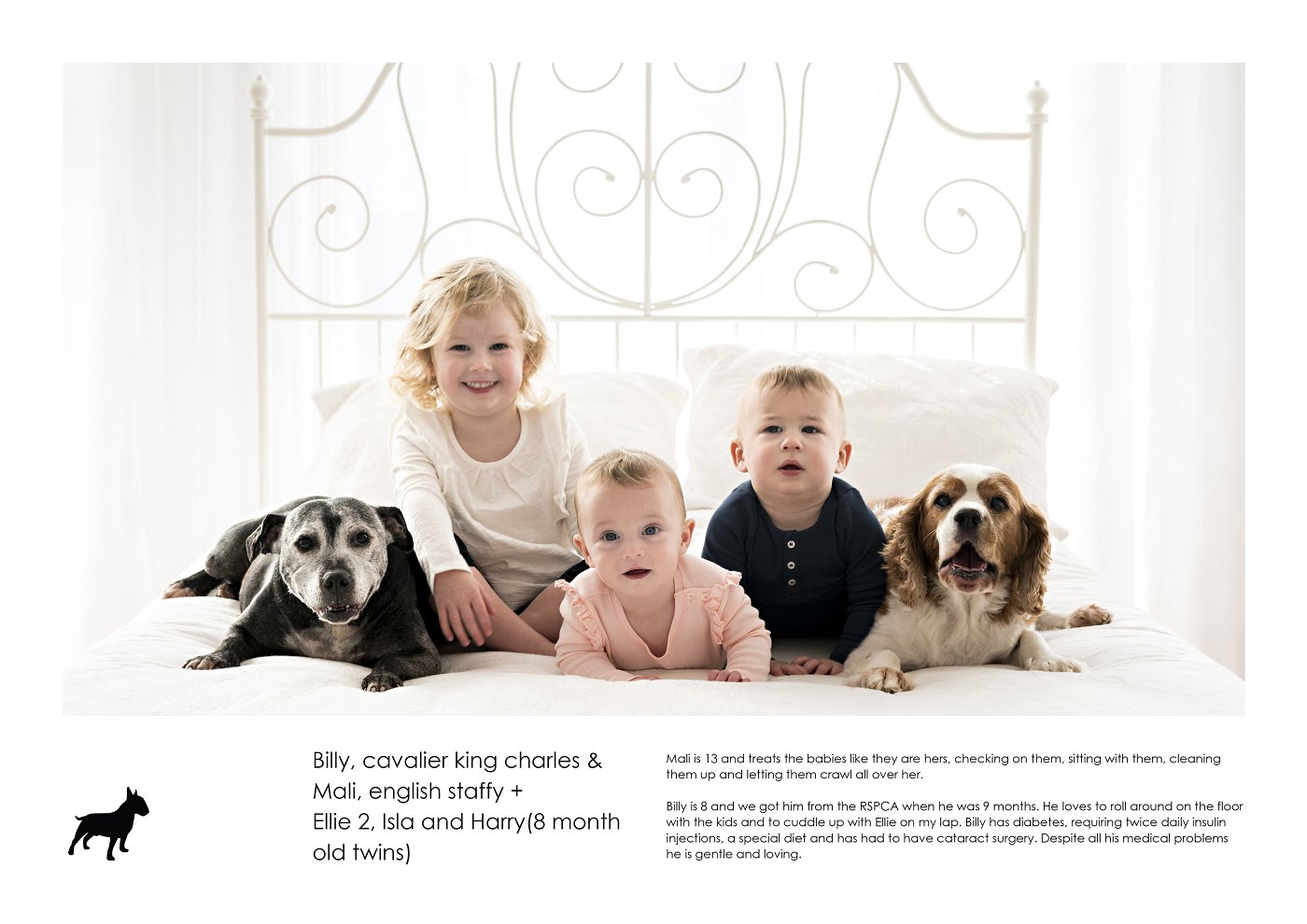 kids and dogs portrait sydney