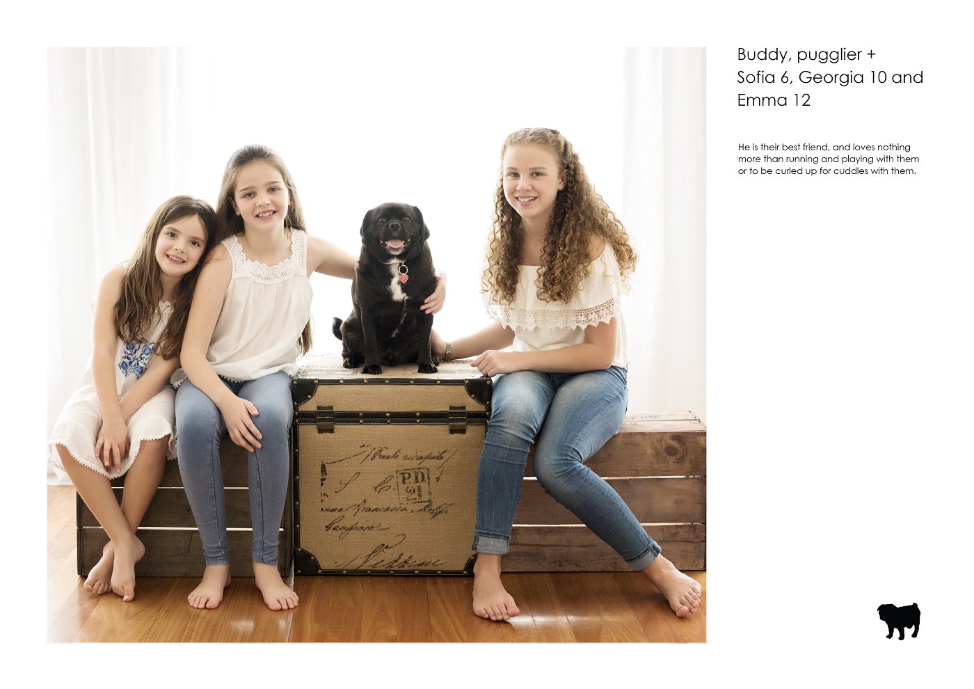 kids and pet dog photos sydney