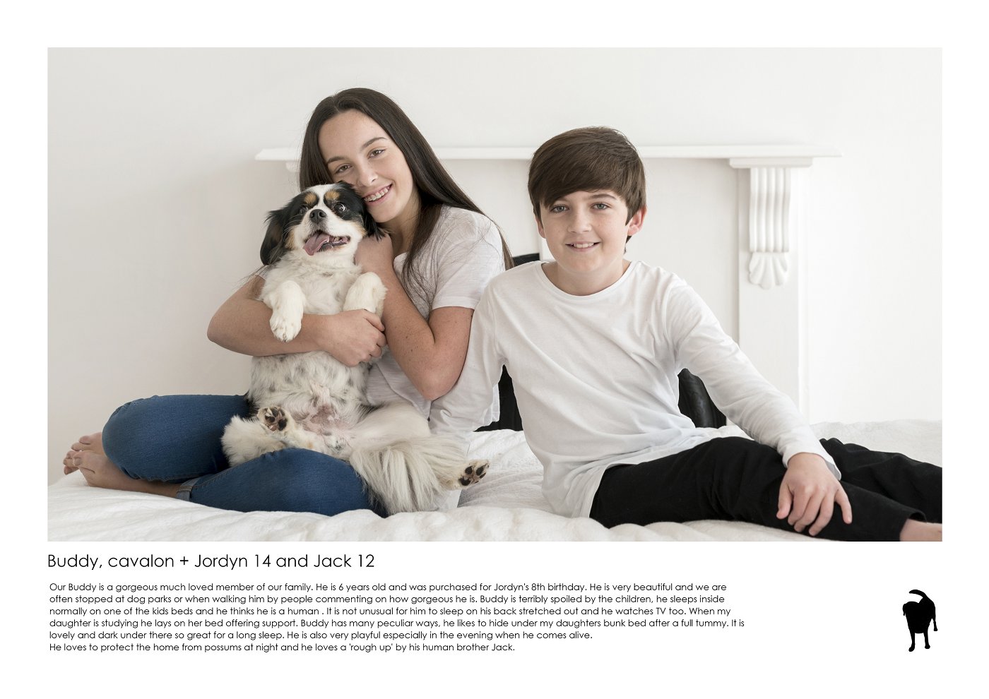 family and pet photographer sydney