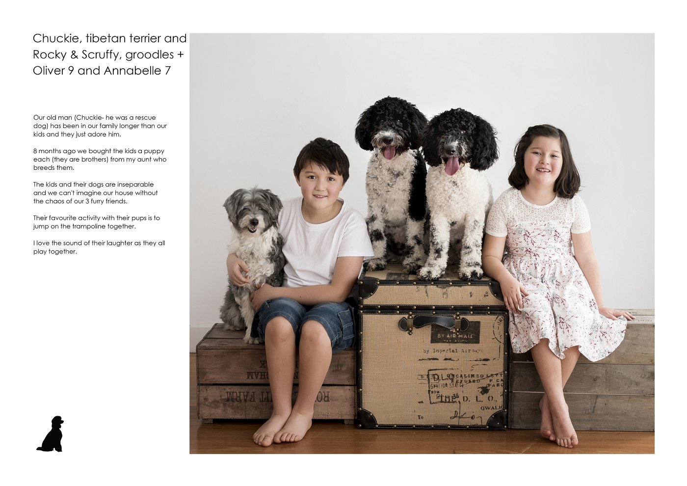 sydney pets and kids portrait