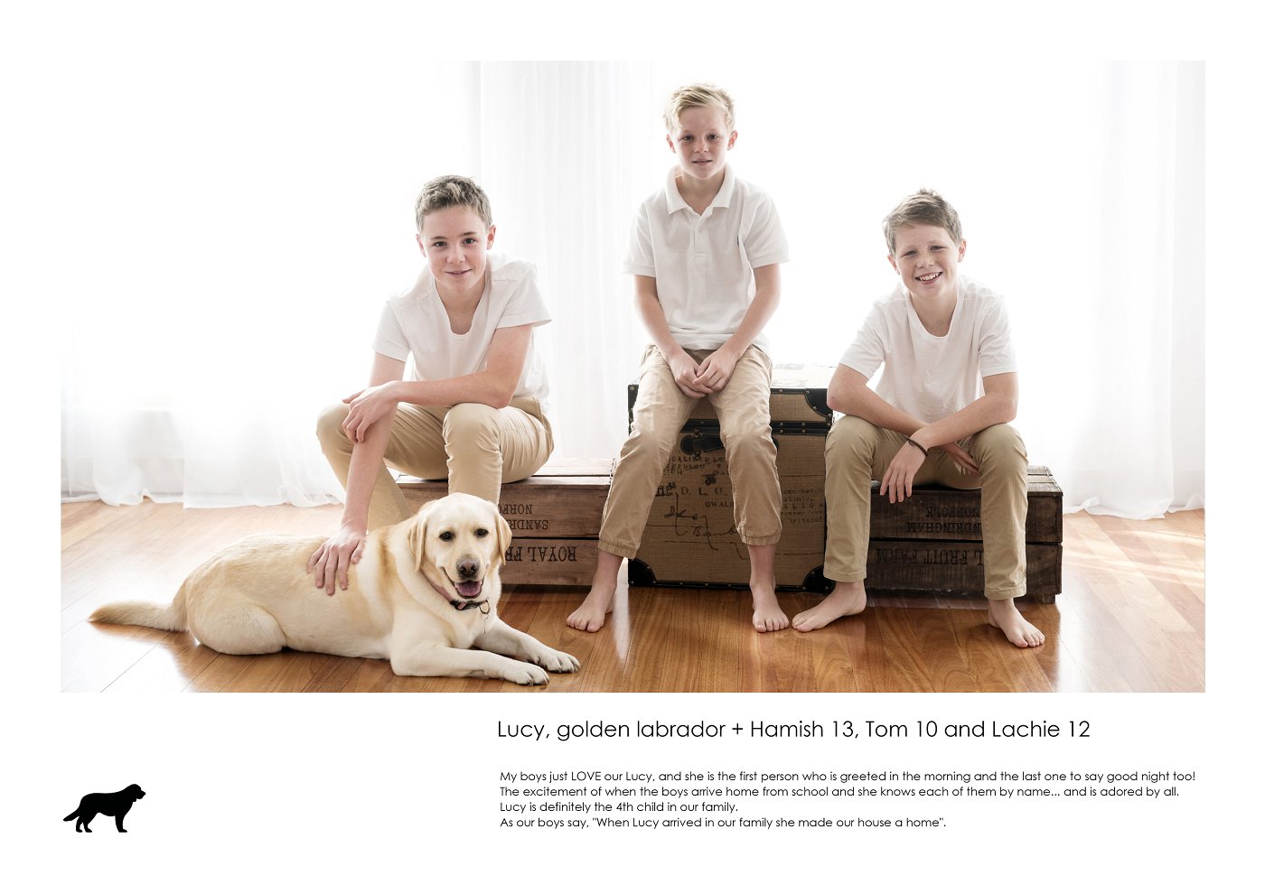 Dogs and their kids photography sydney