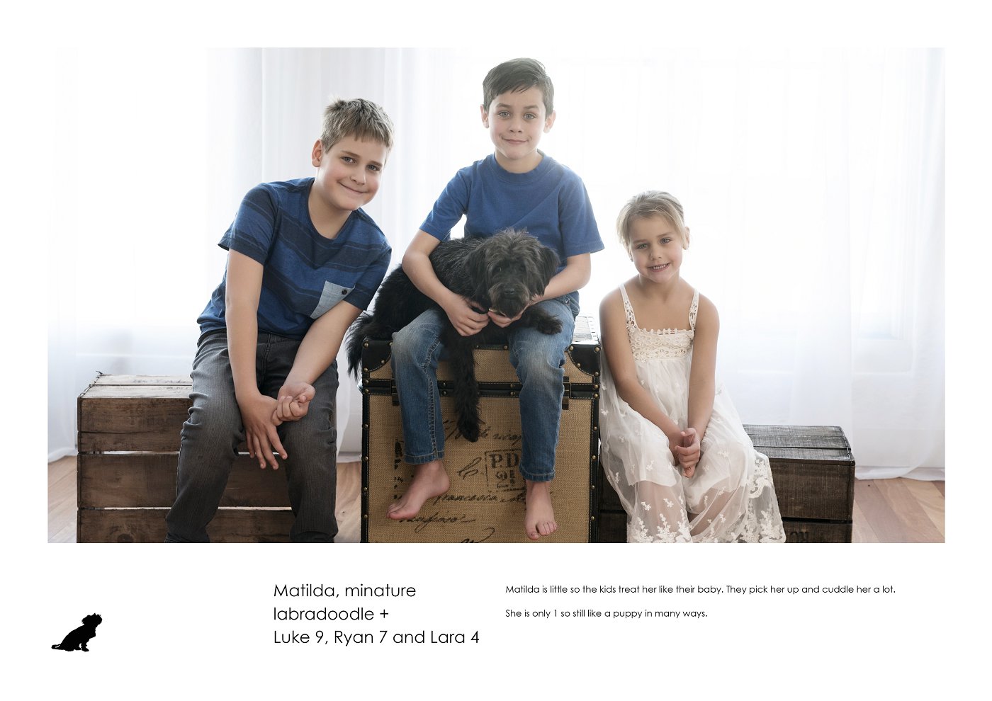 sydney family and pet photographer