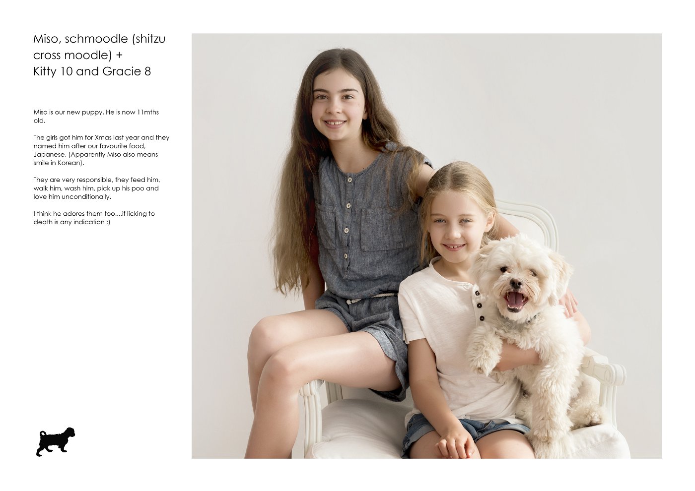 Dogs and their kids photography sydney