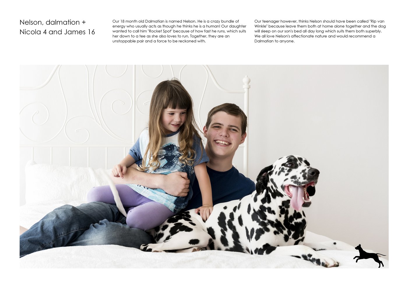 family and pet photography sydney