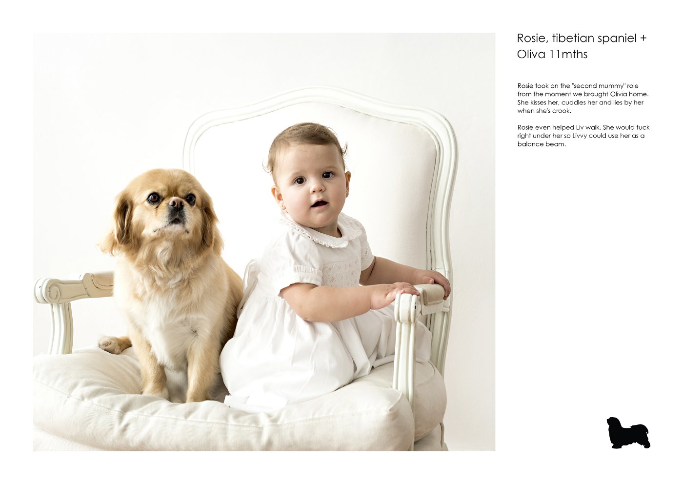 sydney pets and kids photograph