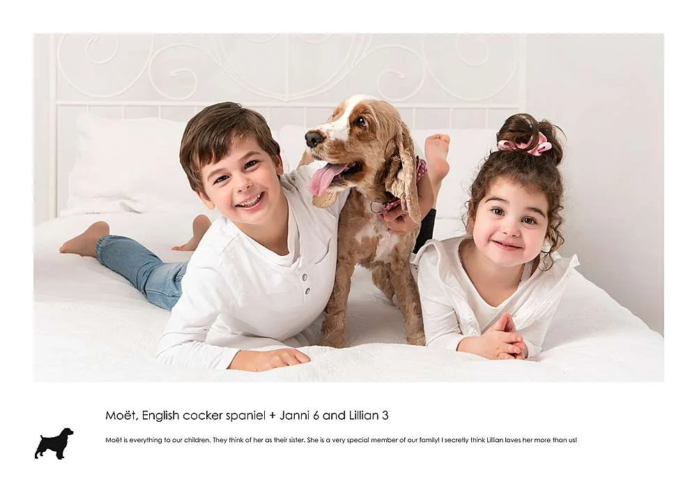 family and dogs photos sydney