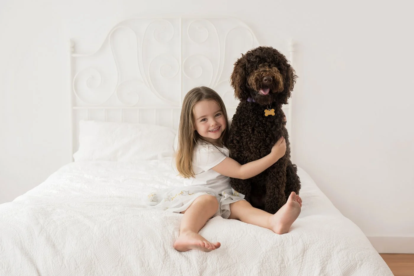 Sydney Dog Photographer
