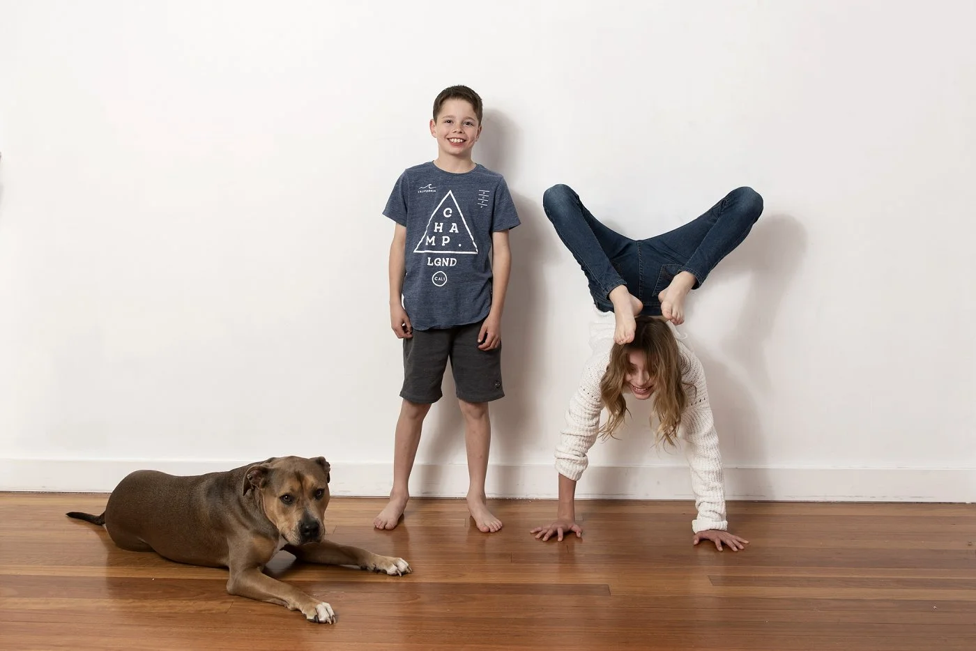 Professional Dog Photography Studio