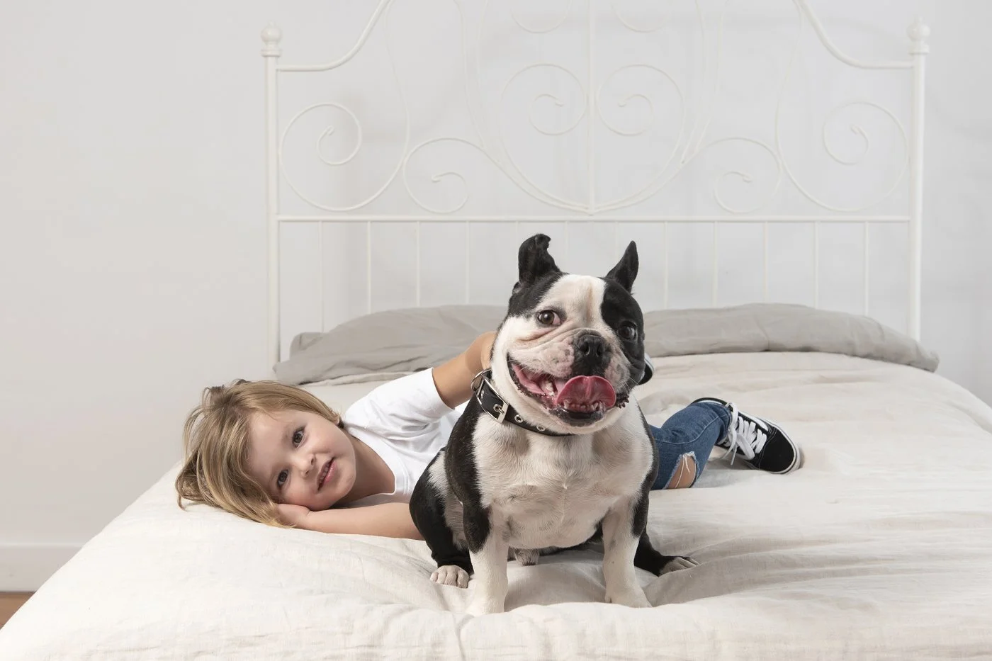 Dog photography sydney