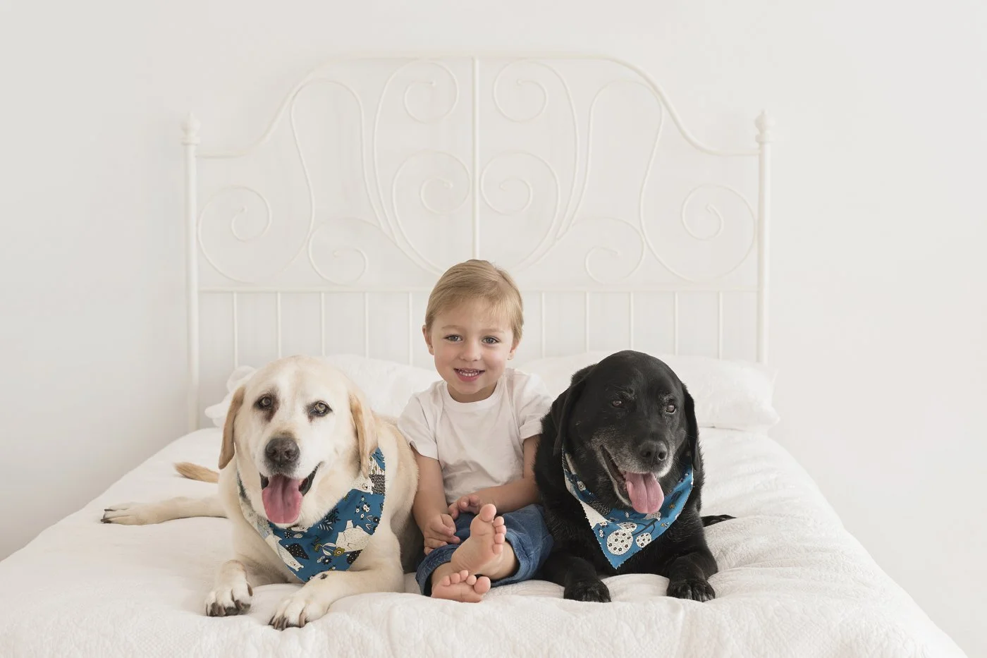 Dogs and kids photographer