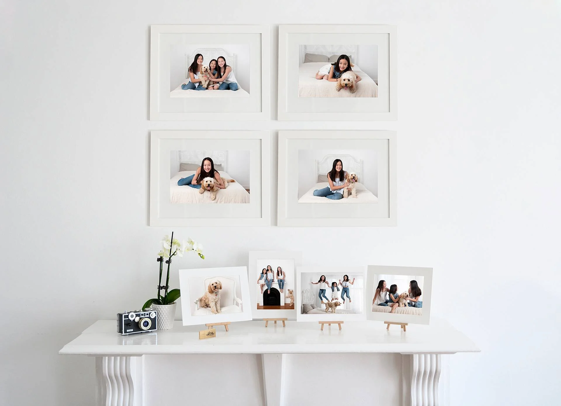 DNK Middle Portrait Collection.jpg