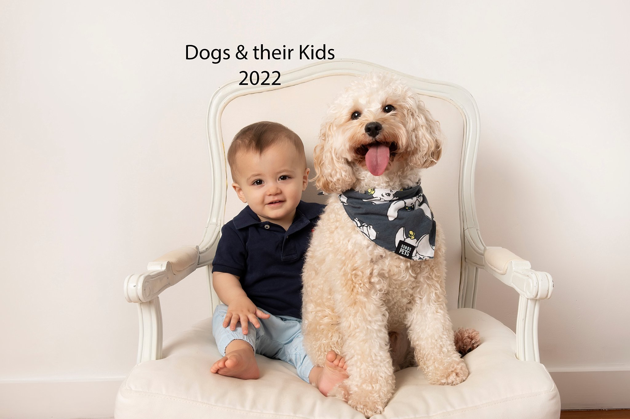 Dogs and Kids Book postage