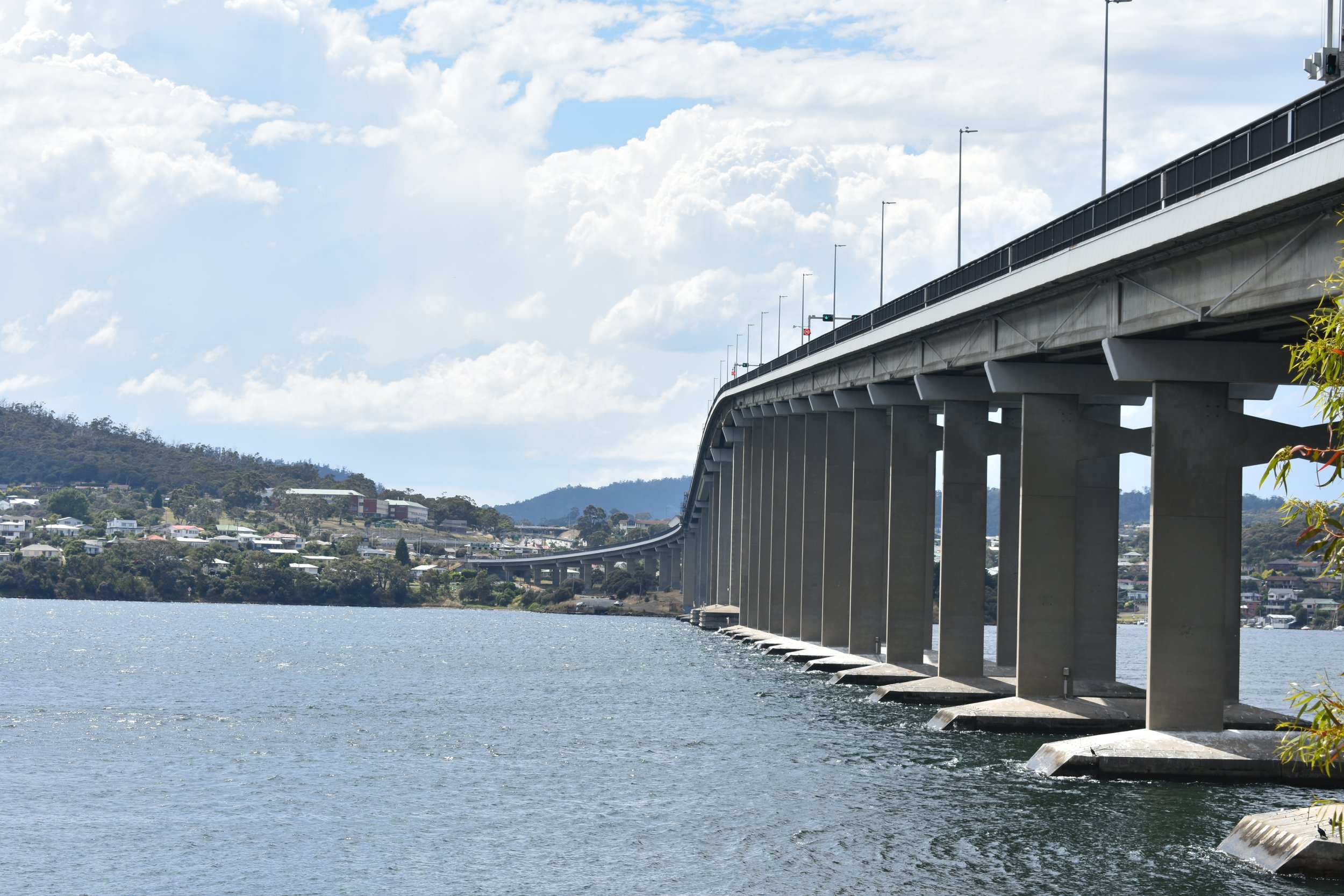 Bardley Fysh, Tasman Bridge
