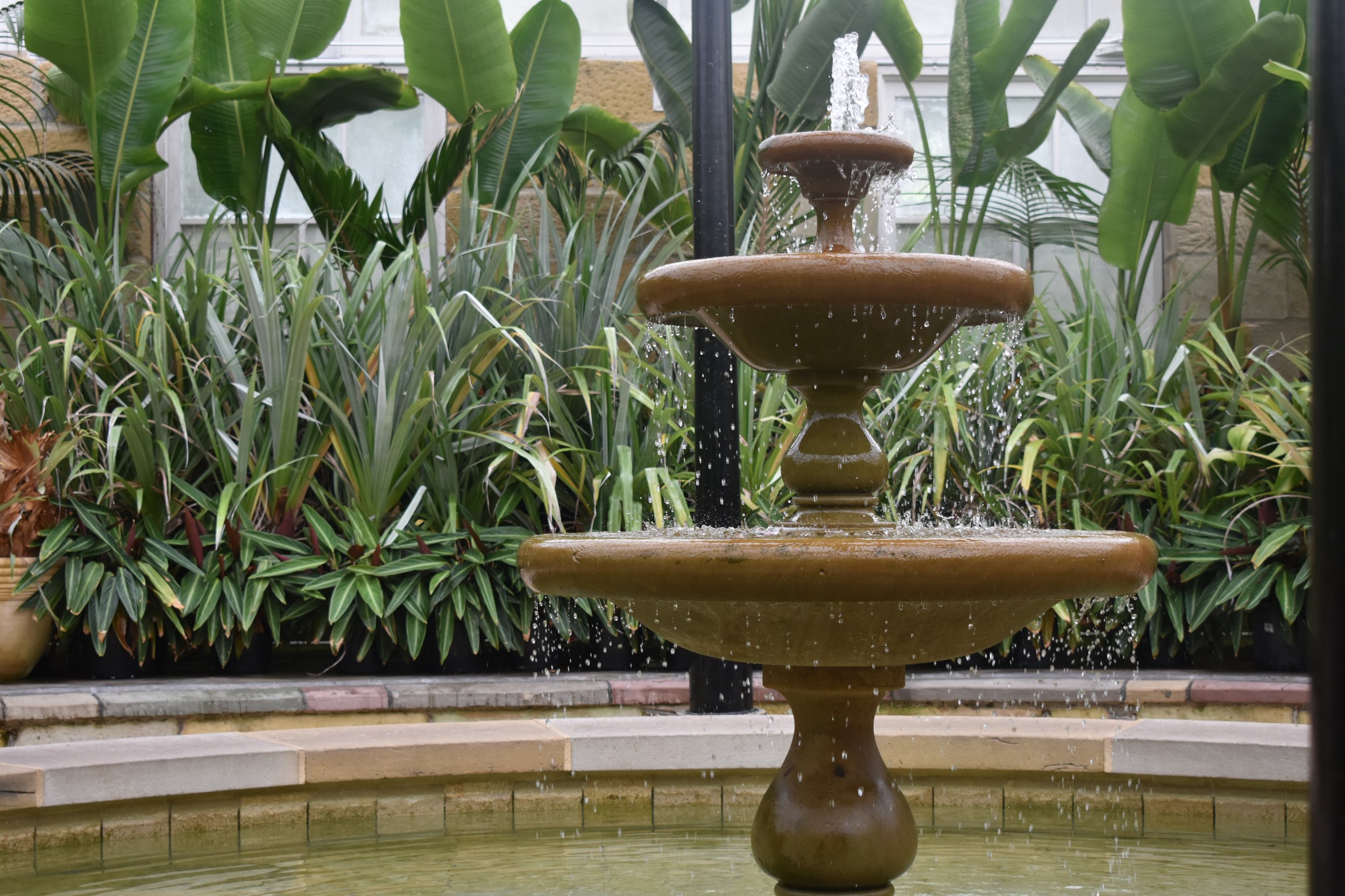 Bradley Fysh, Water Feature Botanical Gardens