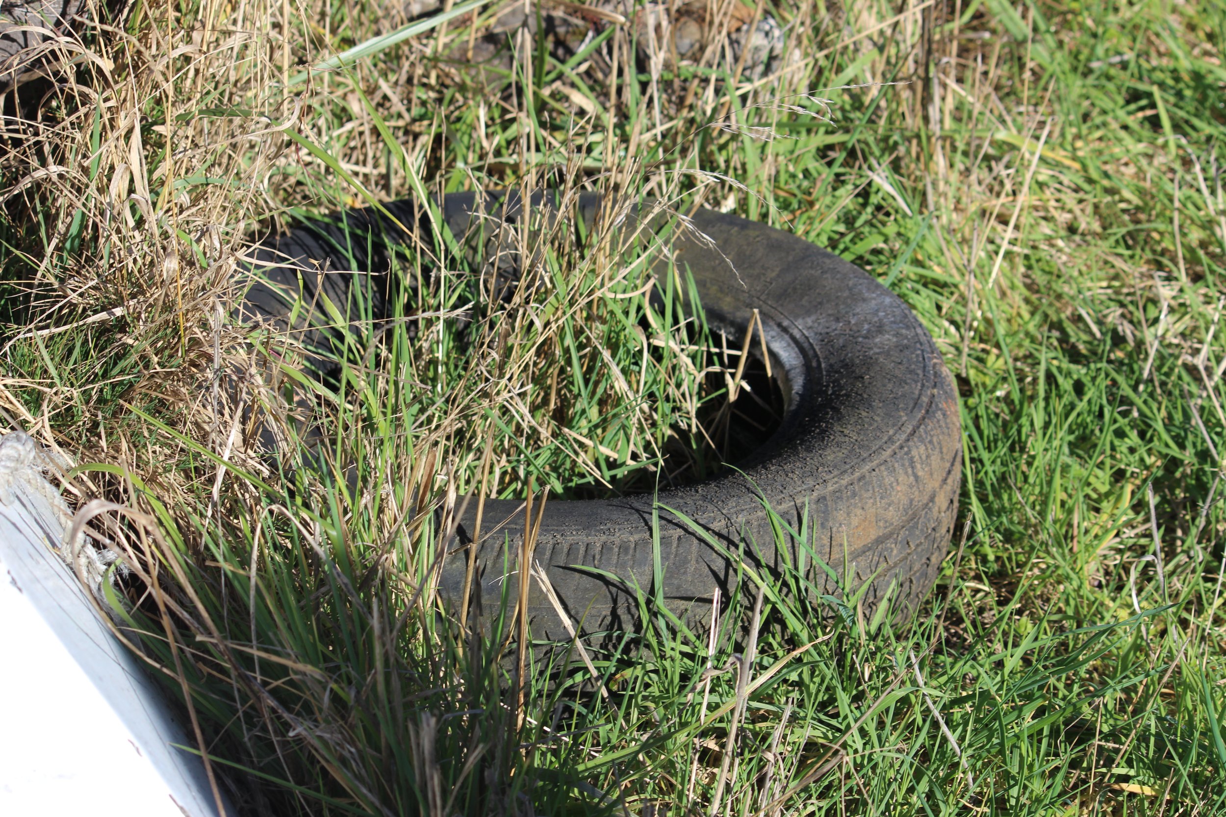Ross Cooper, Old Tire