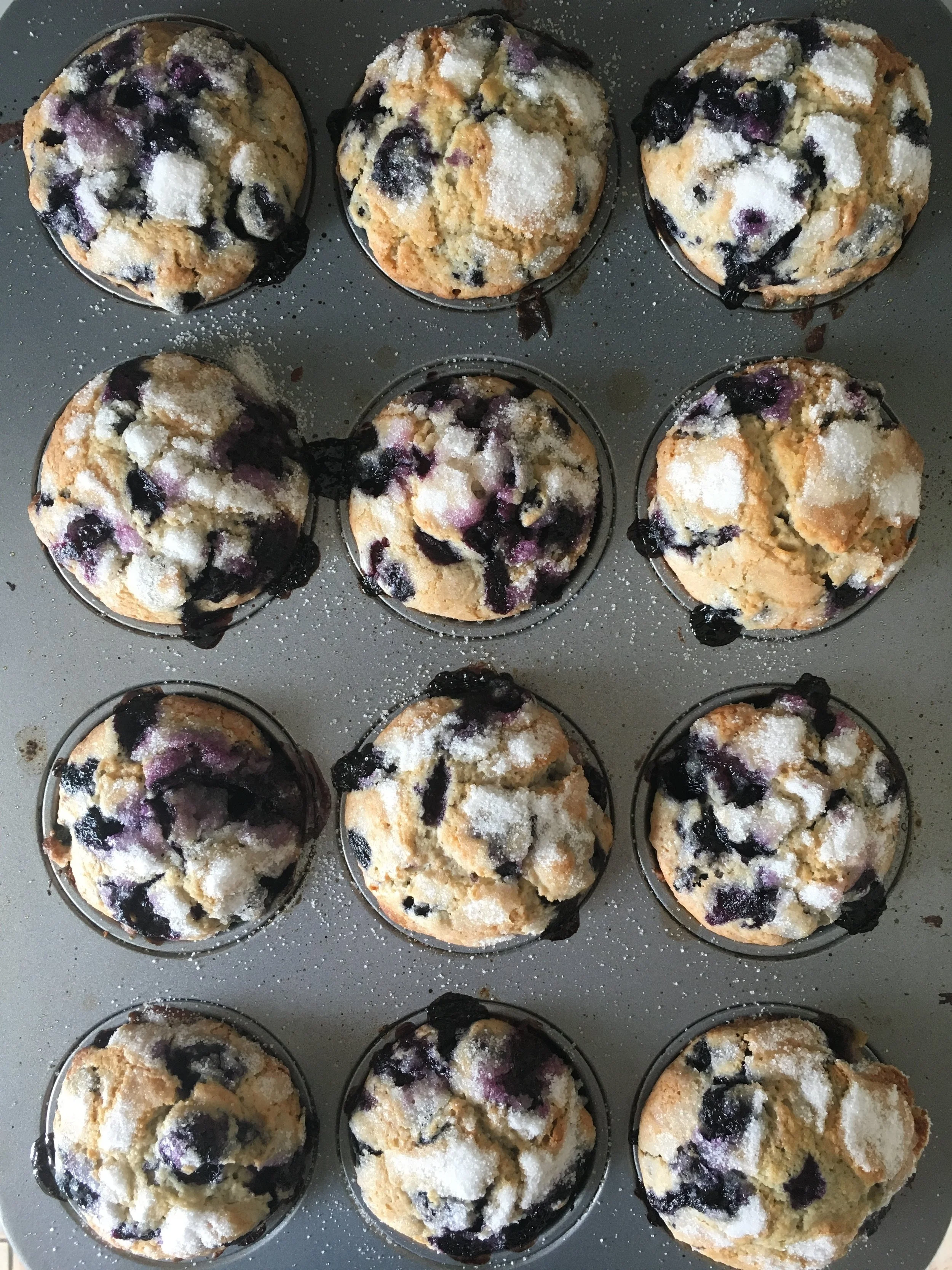 All-American Blueberry Muffins