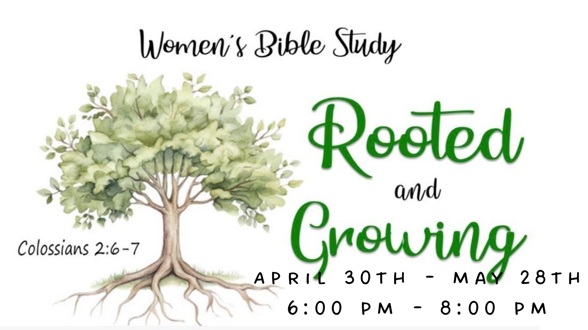 Women's PM Bible Study - Rooted &amp; Growing (Video Series) 
