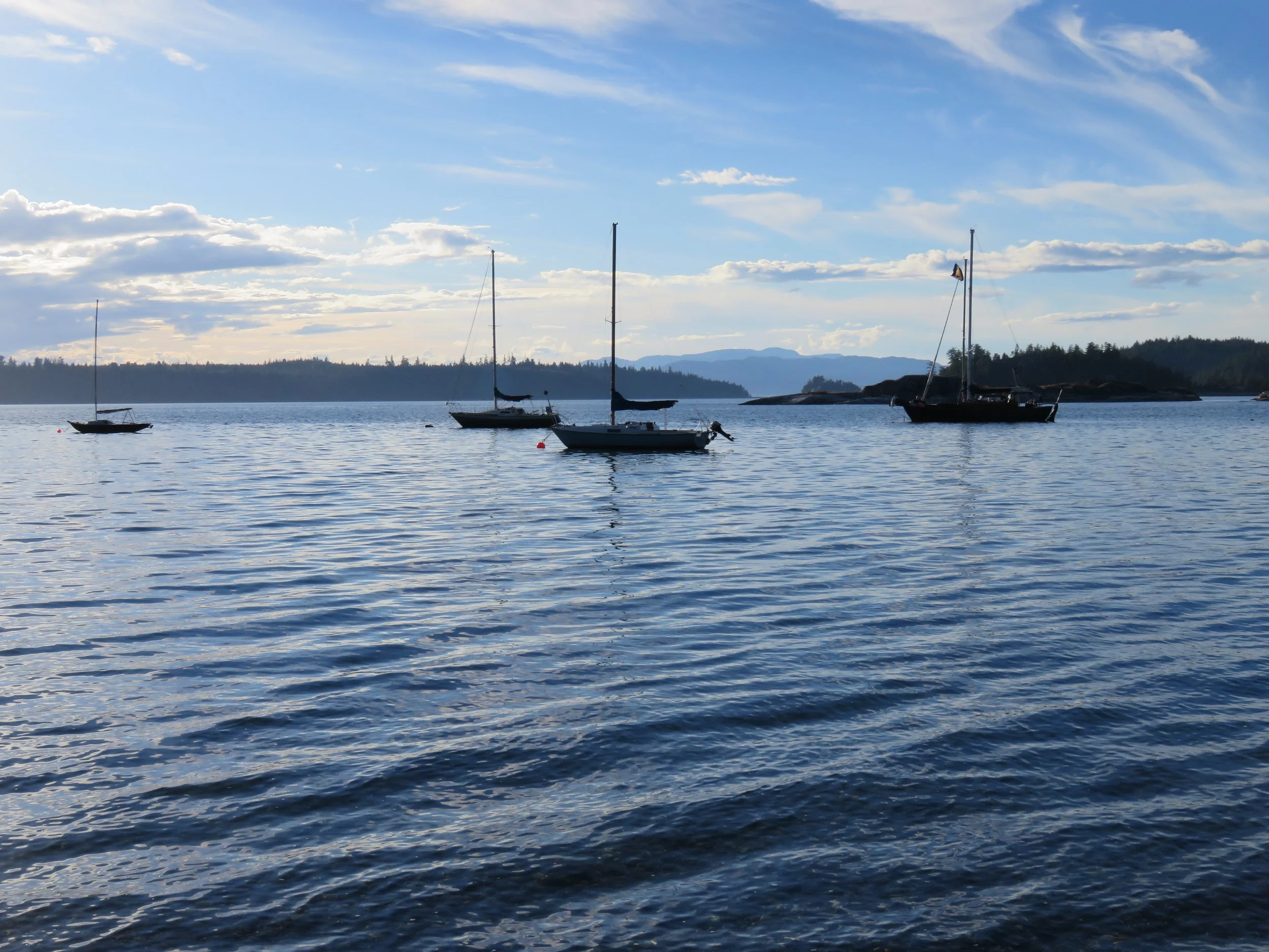 IMG_4647.jpg