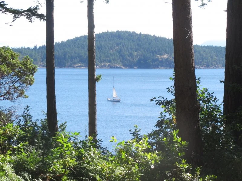 view-from-the-house.jpg