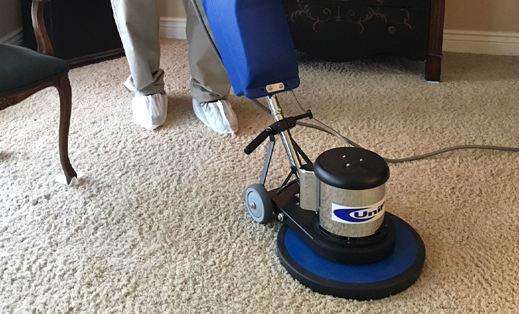 St Louis Carpet Cleaning Carpet Cleaning St Louis Mo