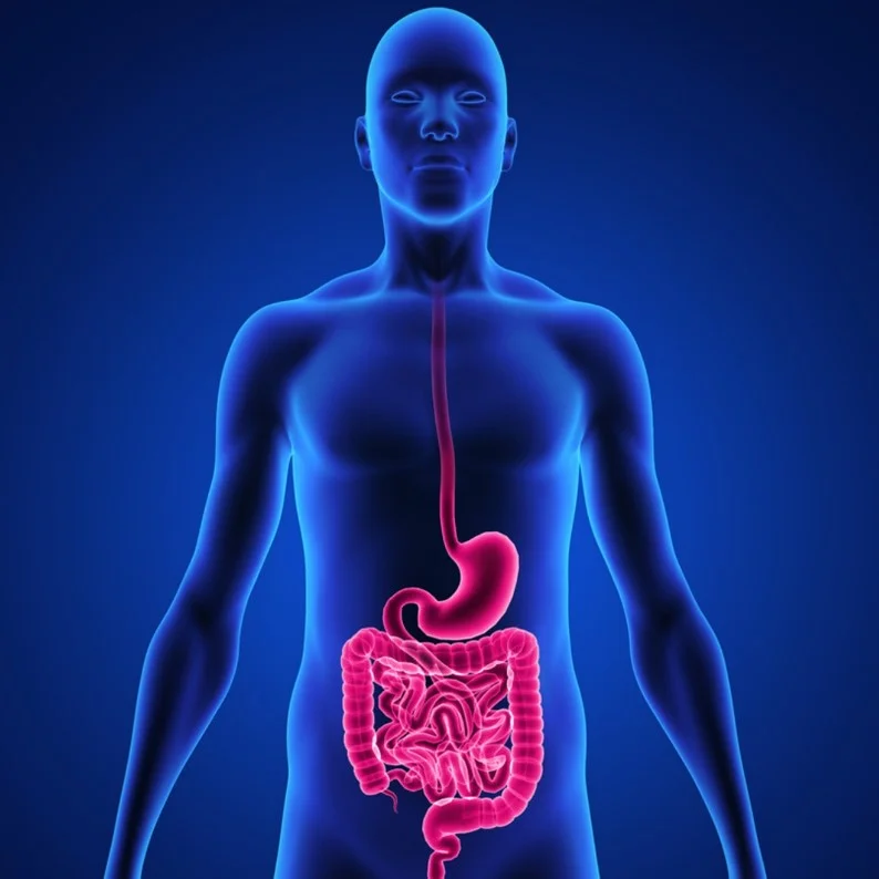 Five tips for digestive bliss