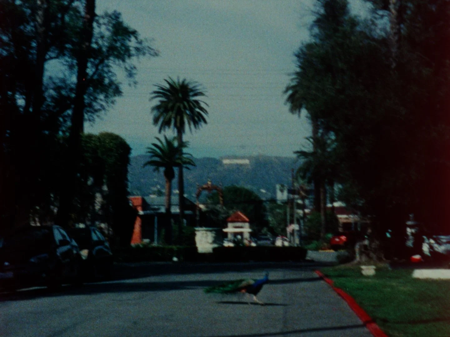 Cartografia_Still-30.jpg