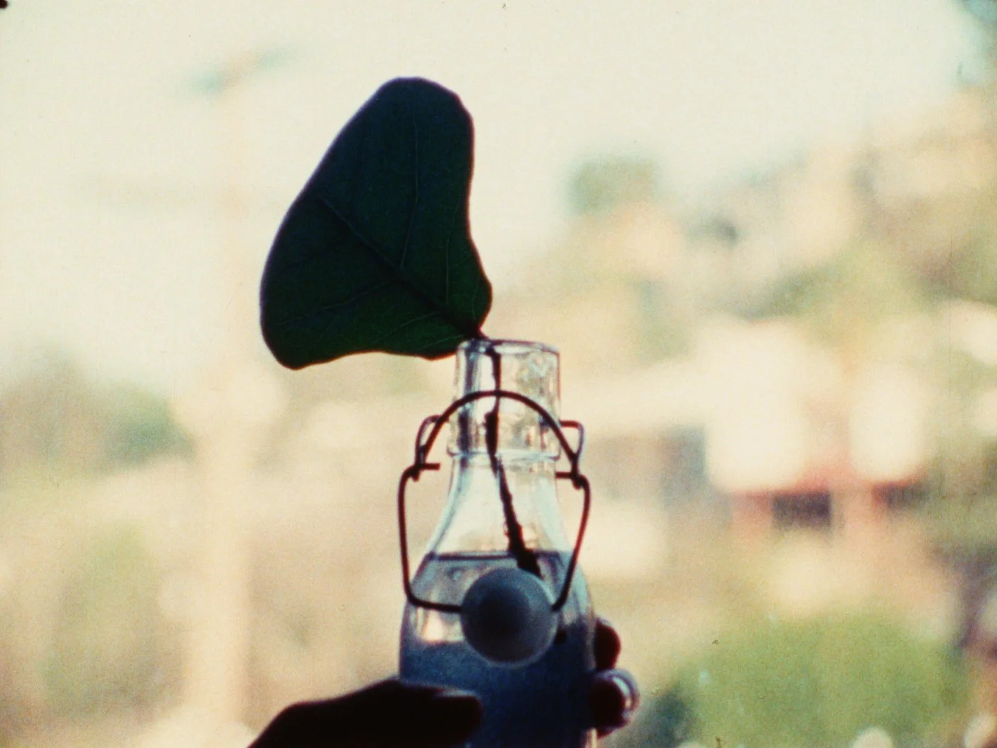 Cartografia_Still-142.jpg