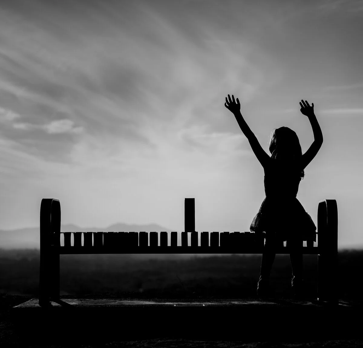 8-Silhouette.jpg