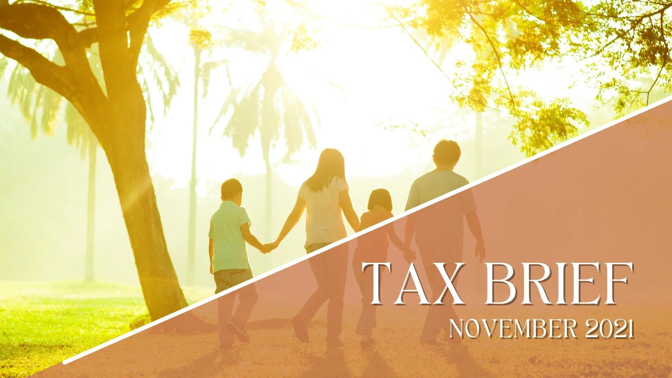 Tax Brief (November 2021)