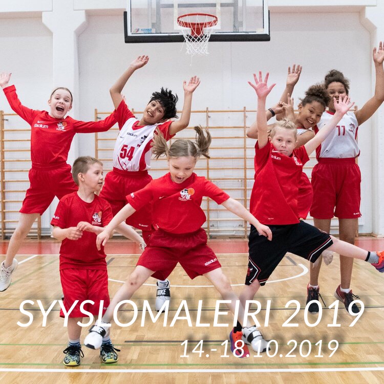 SYYSLOMALEIRI 2019