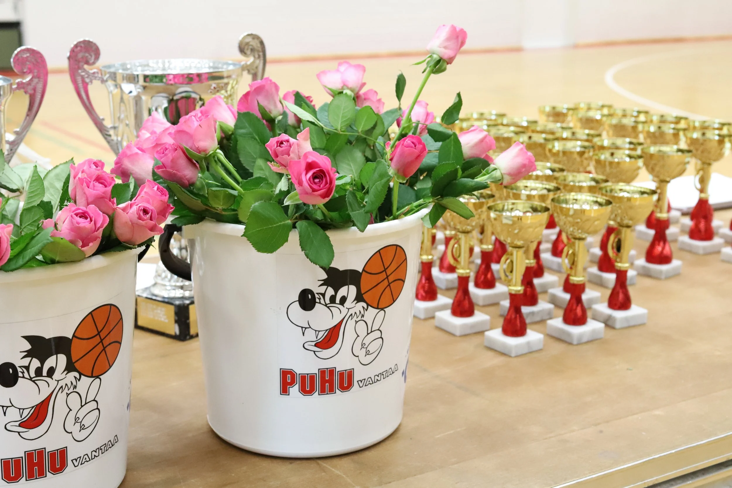 Upea koripallokausi on päätöksessään 