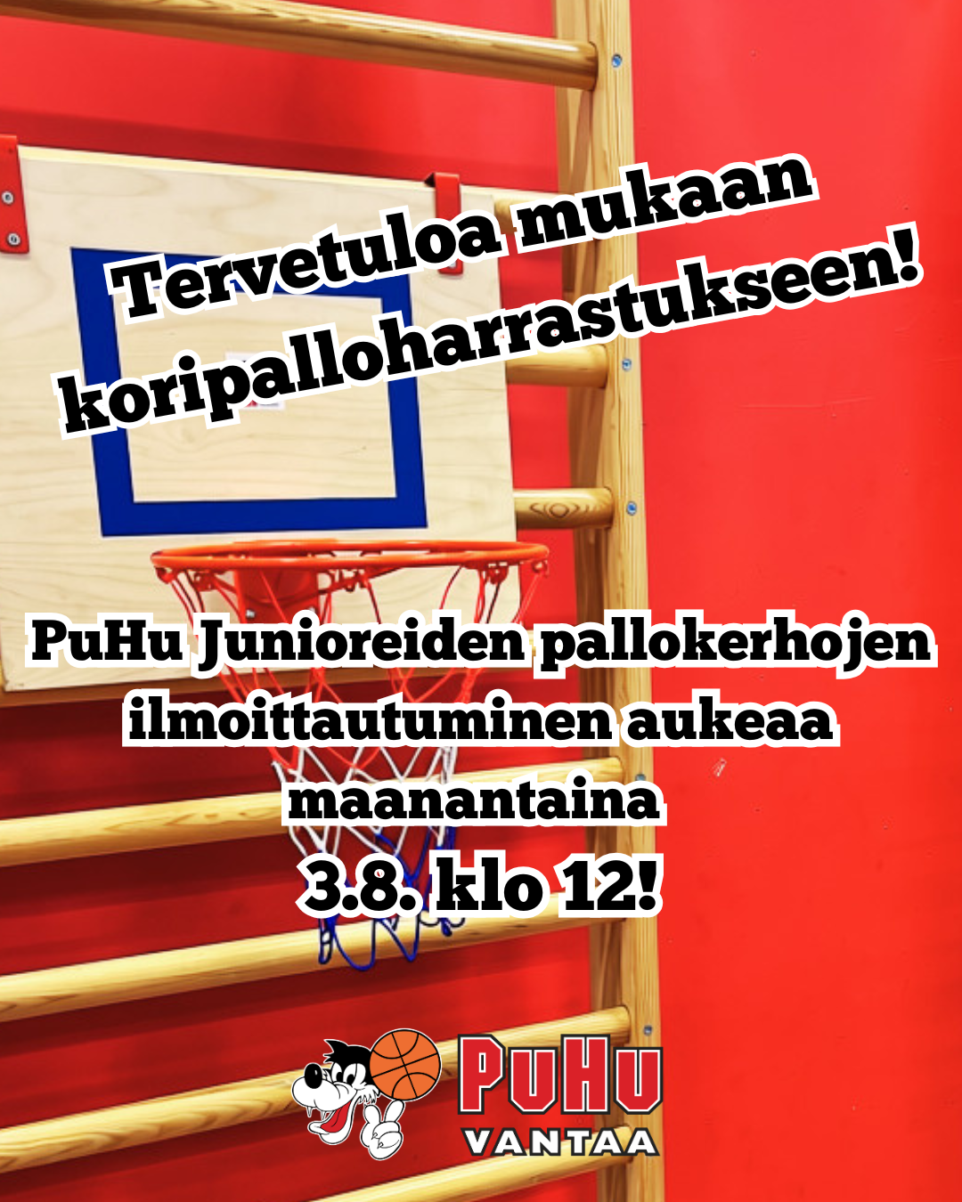 Pallokerhojen ilmoittautuminen aukeaa ma 3.8 klo 12