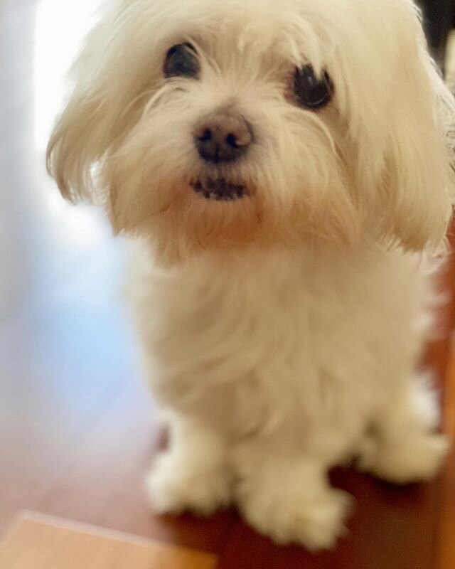 Who else desperately needs a haircut? 🙋🏻&zwj;♀️😂