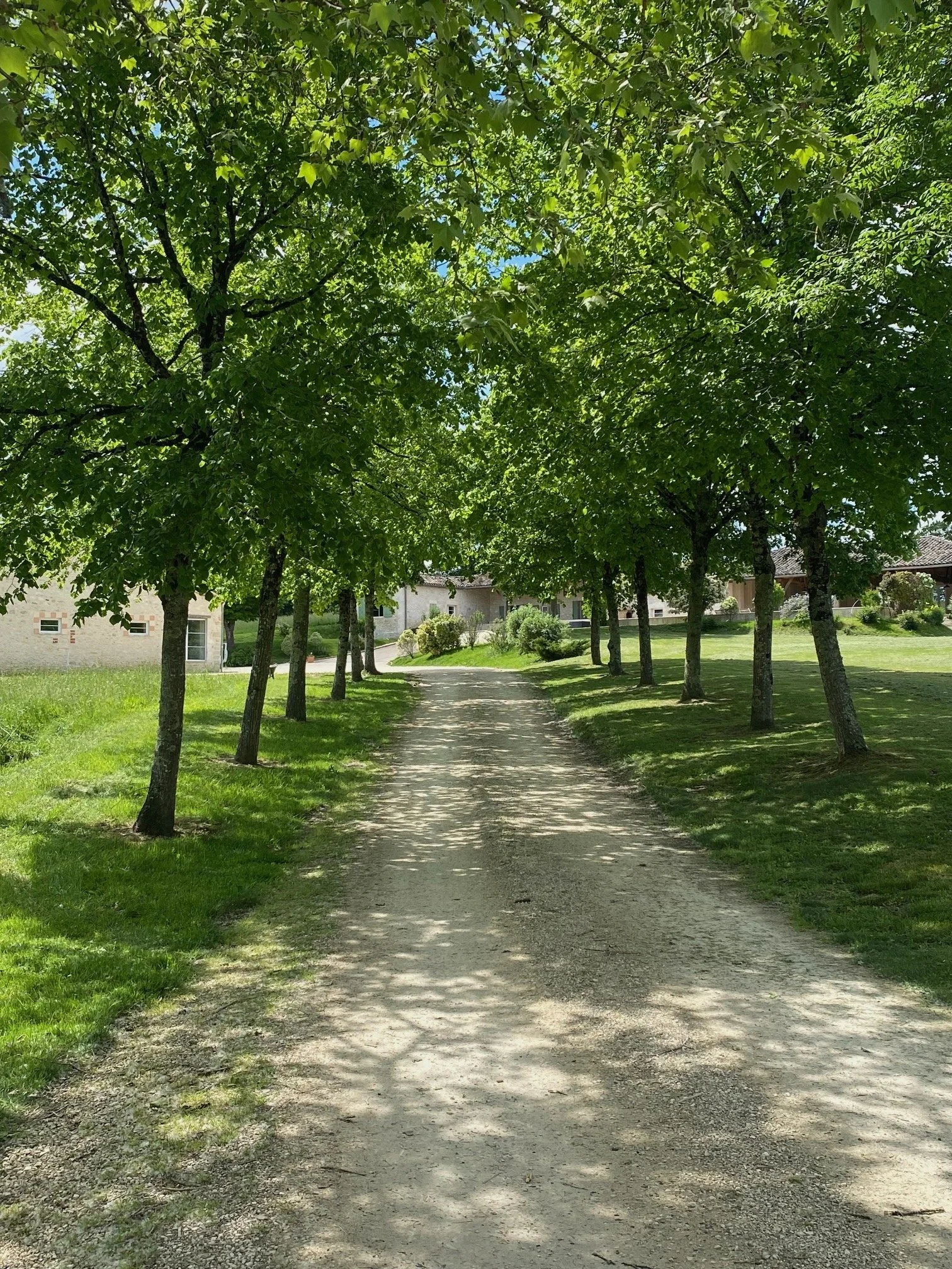 Arrivee sur gite.jpg