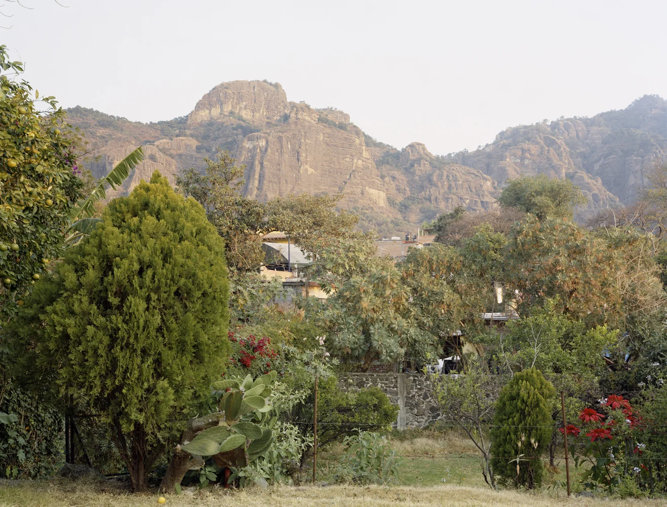 tepoztlan50x60.jpg