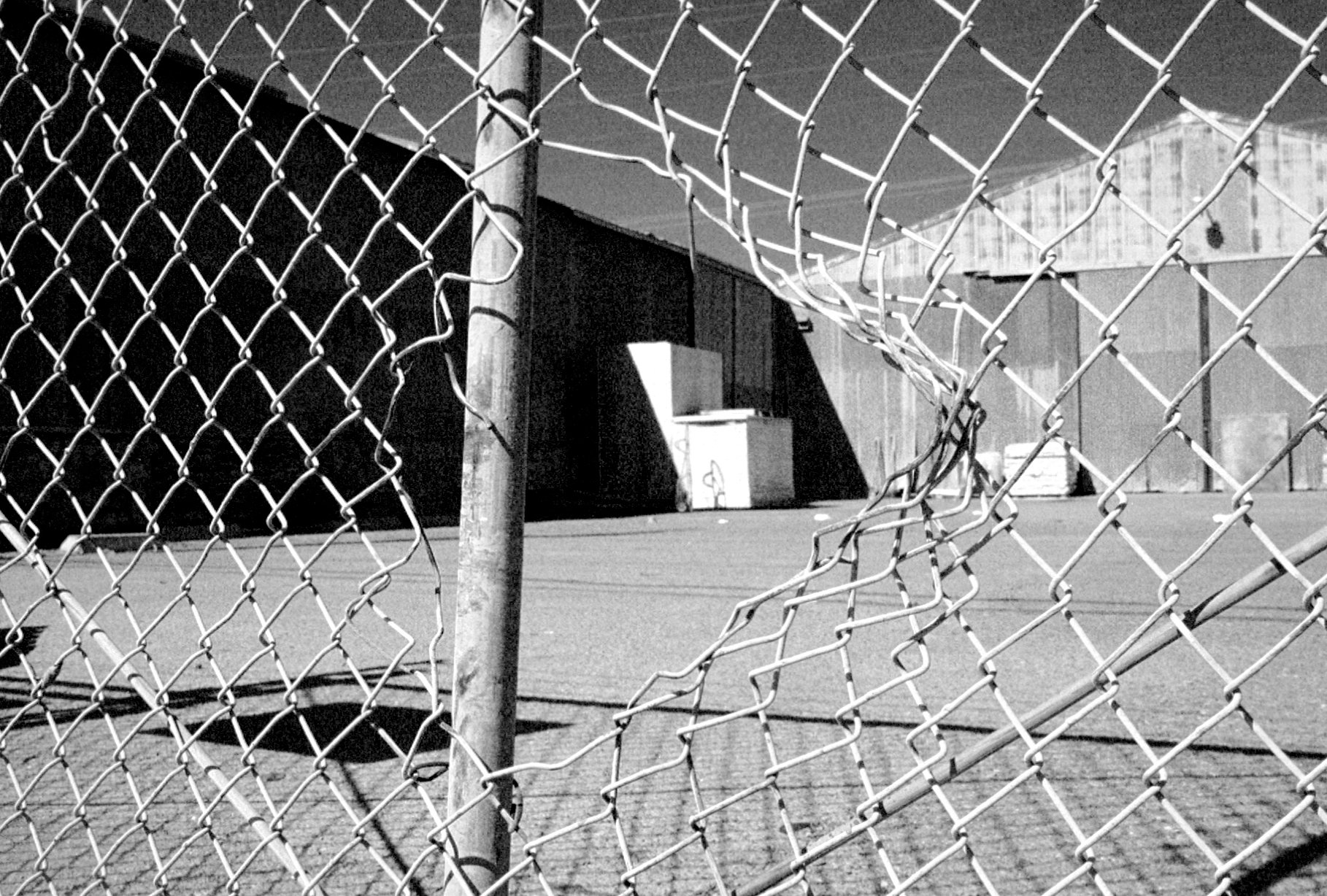 Fence.jpeg