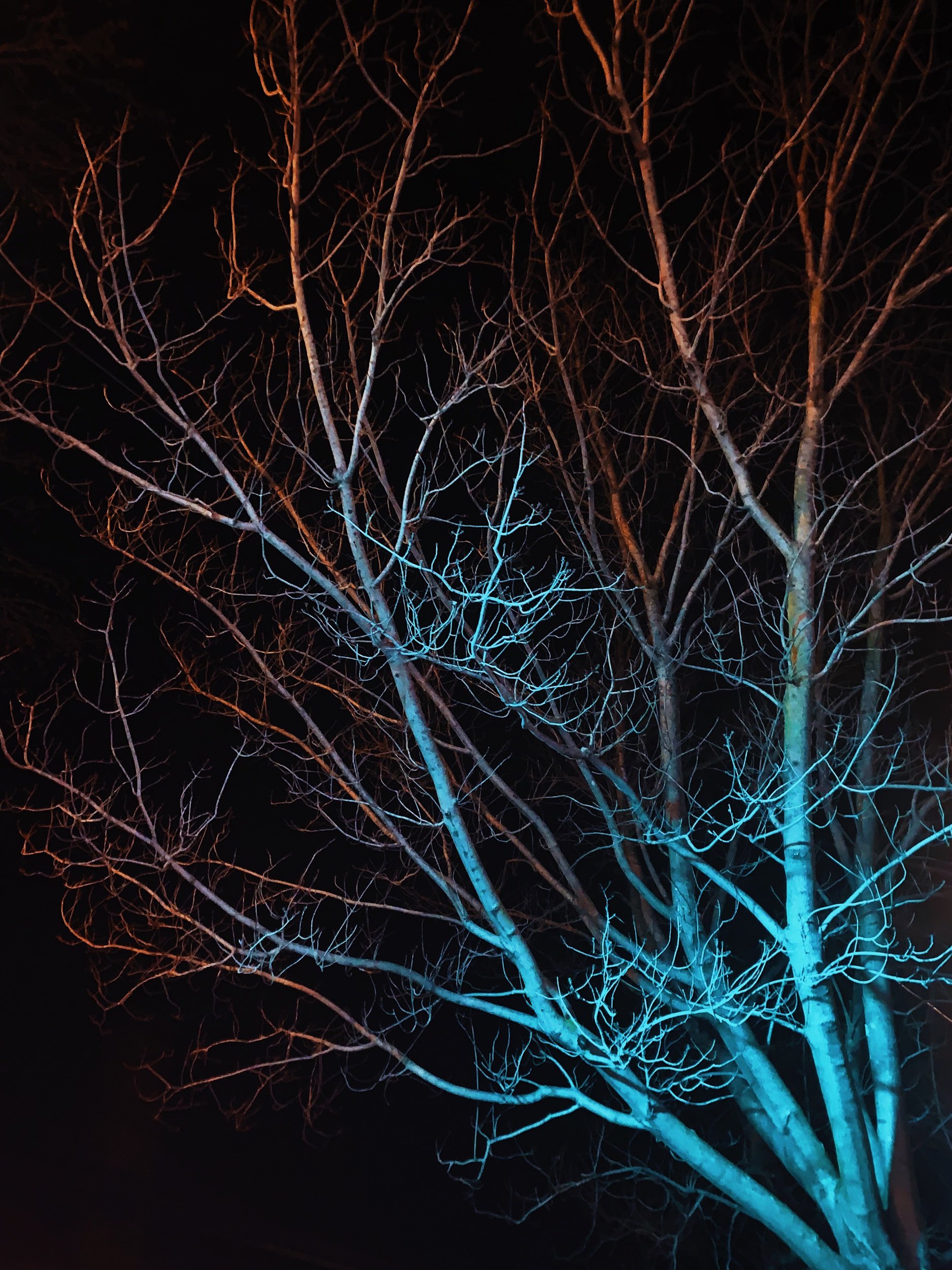 03C51430-EBC0-4E9A-87E4-3FC29490CF70.jpeg