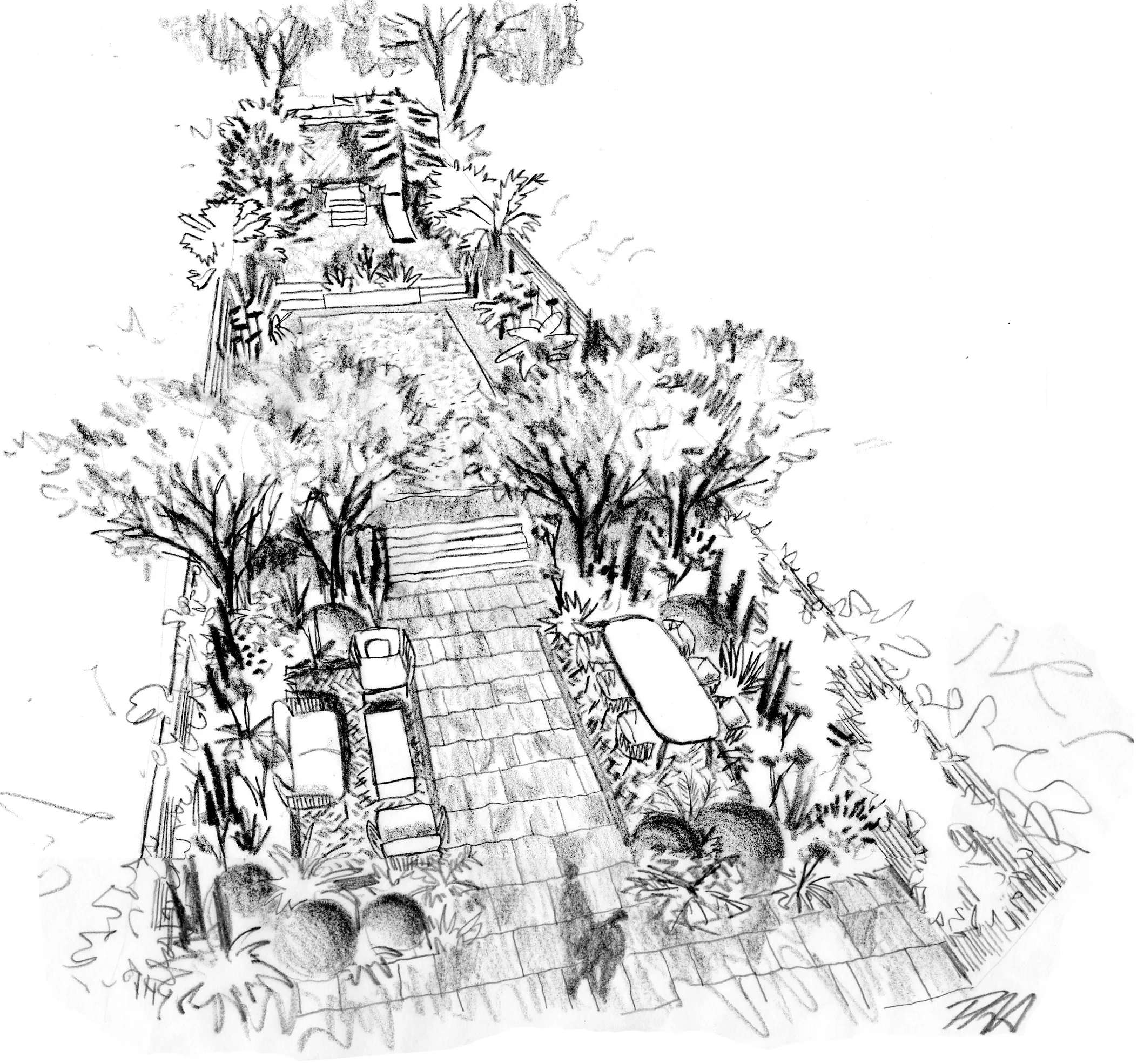  Preliminary sketch proposals for the terraced garden 